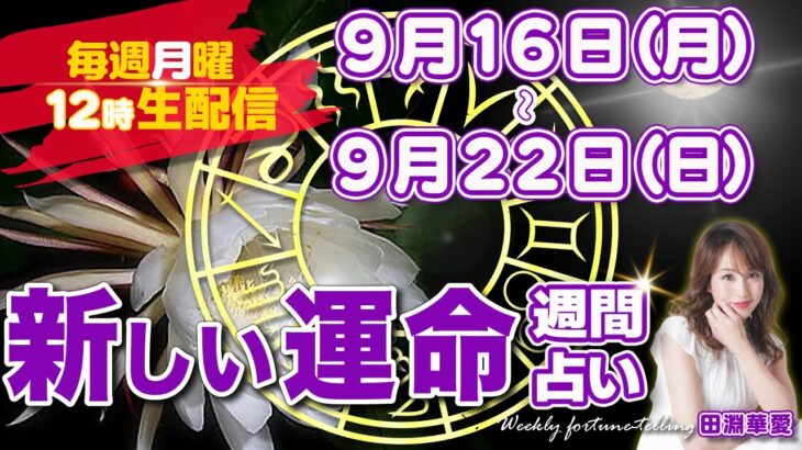 【週間占い】2024年9月16日(月)〜9月22日(日)新しい運命