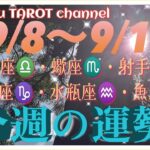 どうなる⁉️【9/8〜9/14週間リーディング】天秤座♎️蠍座♏️射手座♐️山羊座♑️水瓶座♒️魚座♓️#2024 #星座別 #タロット占い