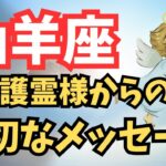 山羊座♑️大切なメッセージ頂きました✨【やっぱりこれしかない‼️】