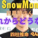 【四柱推命】SnowMan目黒蓮さんのこれからを占ってみたら、、、人生の流れがわかった！