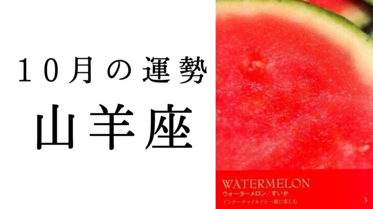 【山羊座🌙10月の運勢】今しんどい思いを抱えている人ほど見て欲しい🥹やっと、夜明けが来ます。2024年タロット占い