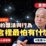 【紫微斗數】命宮最怕裡面有什麼星？你一生的想法與行為！哪一干化忌最凶！紫微斗數命盤完整分析！EP.245－顯君他們的心經車隊【CC字幕】