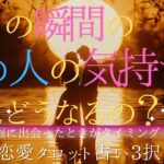 【恋愛タロット占い3択】今この瞬間のあの人の気持ち。次はどうなるの？✨怖いほど当たる😄✨✨✨🌈✨🍃🌺✨✨✨