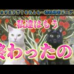 【⚠️厳しい表現あります】あの人との縁はもう終わったのかを視ます✨お相手の気持ち　本音　透視細密リーディング　個人鑑定級　タロット占い