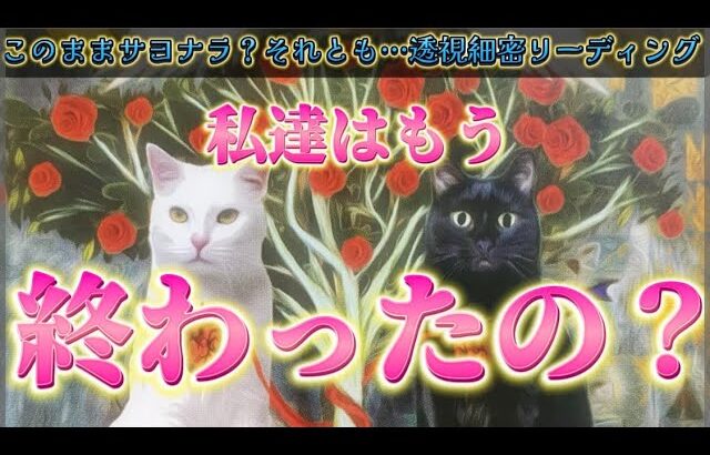 【⚠️厳しい表現あります】あの人との縁はもう終わったのかを視ます✨お相手の気持ち　本音　透視細密リーディング　個人鑑定級　タロット占い