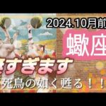 【10月前半🍀】蠍座さんの運勢🌈凄すぎます…。不死鳥の如く何度でも甦る蠍座さんにぐっときました。素敵です💛✨💛