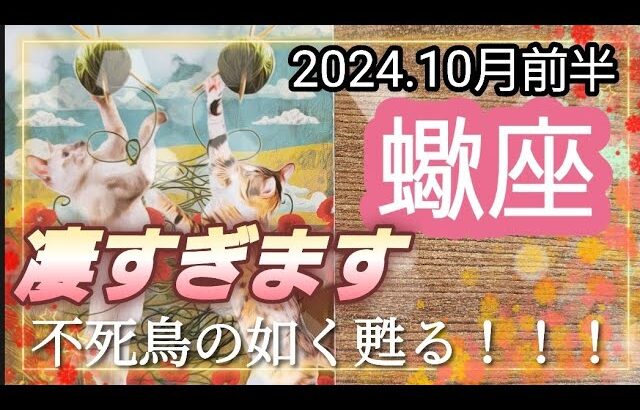 【10月前半🍀】蠍座さんの運勢🌈凄すぎます…。不死鳥の如く何度でも甦る蠍座さんにぐっときました。素敵です💛✨💛