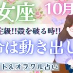 【乙女座】個人鑑定級!! 今、ここにいる乙女座さんが素敵なんです!! もっと自由に枠を超えて行こう❤️‍🔥✨【仕事運/対人運/家庭運/恋愛運/全体運】10月運勢  タロット占い