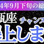 【水瓶座】2024年9月下旬みずかめ座の運命が動き出す！水瓶座のタロットと星が語る希望のメッセージ