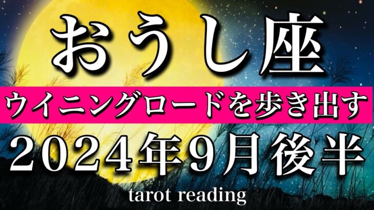 おうし座♉︎2024年9月後半　ウィニングロードを歩きだす！