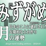 【みずがめ座】2024年10月の運勢　長期的な土台作りを、目先に惑わされる【タロット】