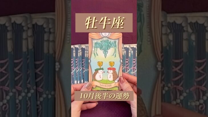 【牡牛座】2024年10月後半の運勢★ダイジェスト〜ご自身が整っているので望む道に進むための決断ができる‼️