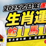 【蛇🐍、馬🐴、羊🐑】易龍師傅預測2025蛇年十二生肖運勢︱2025犯太歲、人緣運、財運、事業運、姻緣運生肖詳講《#易龍知玄機︱第368集》CC字幕︱流年運程︱生肖運勢︱蛇年運程︱FMTV