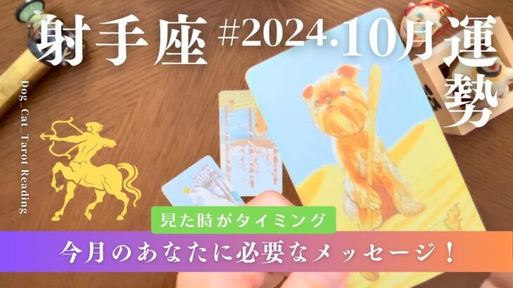 射手座♐️2024年10月の運勢　焦らないで大丈夫✨望む未来はやってきます👍