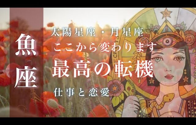 ♓️魚座🌙9/15~10/15🌟心機一転 切り替えて前に進む もっと深く知る必要性 理想の未来が見えてきます🌟しあわせになる力を引きだすタロットセラピー