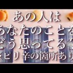 ⚠️ピリ辛あり⚠️あの人はあなたのことをどう思ってる？占い💖恋愛・片思い・復縁・複雑恋愛・好きな人・疎遠・タロット・オラクルカード