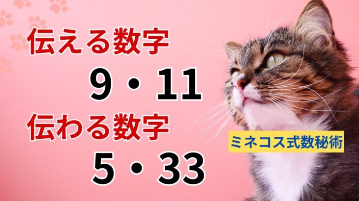 【数秘5・9・11・33】伝える数字　伝わる数字　人に影響を与えやすい4つの数字について解説してます