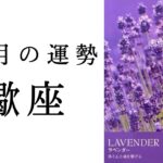 【10月の運勢🌙蠍座】人生のフェーズ、変わります！今が辛いさそり座さん絶対見て欲しい🥹2024年タロット占い