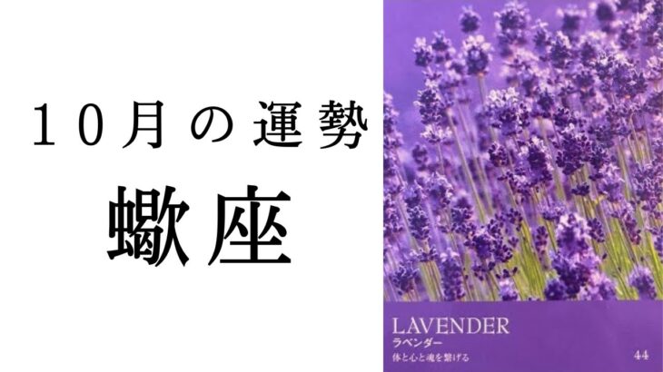 【10月の運勢🌙蠍座】人生のフェーズ、変わります！今が辛いさそり座さん絶対見て欲しい🥹2024年タロット占い