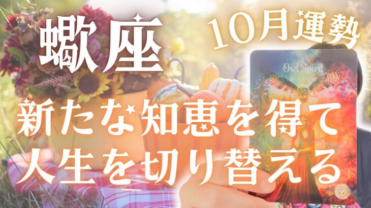 【蠍座】今までにない知恵を得る事で人生のレールが切り替わりそうです↖️↗️10月運勢🔮✨