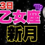 2024年9月3日乙女座新月