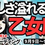 【乙女座】♍️2024年9月9日の週♍️優しさあふれる時。大きな夢に向かって勝利する私。タロットリーディング