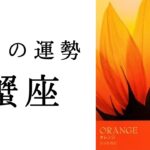 【蟹座🌿9月の運勢】やはりかに座は最強でした😳この壮大すぎるメッセージ、受け取って🕊️✨2024年タロット占い