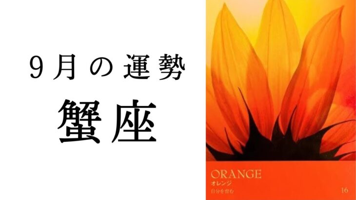 【蟹座🌿9月の運勢】やはりかに座は最強でした😳この壮大すぎるメッセージ、受け取って🕊️✨2024年タロット占い