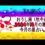 おうし座（牡牛座）2024年10月の運勢｜今月の星占い.