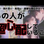 全く読めない彼のガチ本音❤️🧠わかりやすくお伝えします【彼が今、私に対して超心配してること】彼の魅力、相性から実は超心配してくれていることを関西弁でお伝えします💓男心アドバイスもさせて頂きます💖