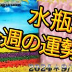 ♒️【水瓶座さん特化型】えぇ〜😳うそ~❗️マジですかぁ〜😱嬉しい展開⁉️今週の運勢＊9/16~22＊reading＆talk『ダラダラ無駄話し』#14