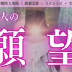 【泣いちゃった】願望くらい本心を言ってもいいよねっていうお相手の気持ちが切なすぎた。あの人の願望　あなたとどうなりたいと願ってる？タロット　ソウルリンクスプレッドで深掘りリーディング🍑