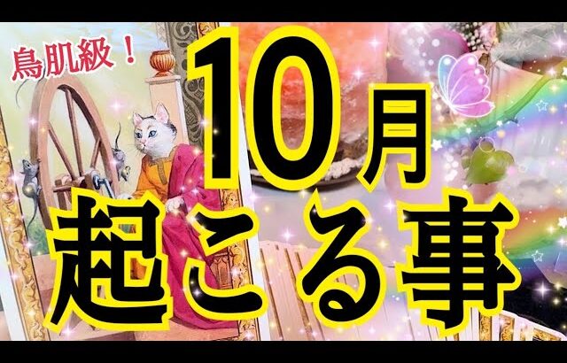 【鳥肌級❗️】10月あなたに起こる事💓個人鑑定級タロット占い🔮⚡️