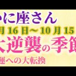 【かに座】 2024年9月後半の蟹座の運勢。星とタロットで読み解く未来