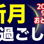 リーダー選びは自分の良心に従って！2024/9/3 おとめ座新月のオススメの過ごし方＆お願い事を解説！【乙女座】