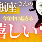 水瓶座さんの♒️ 【今年中に起きる嬉しい事🌅】２０２４　ココママの個人鑑定級タロット占い🔮