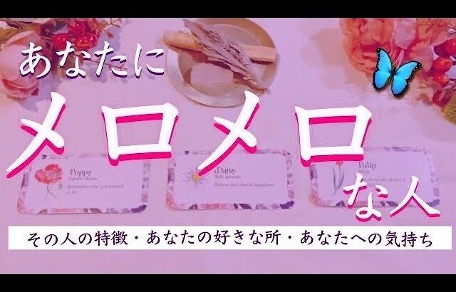 溺愛でした…❗️あなたにメロメロな人❣️タロット、タロット占い、恋愛