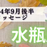 【みずがめ座9月後半】ここから急上昇🌈変化が止まらない‼️カード達にドキドキさせられたー😎⚡️