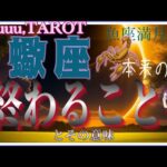 癒やしのとき、新たな出会いのために🍀蠍座♏️さん【魚座満月🌕〜終わることとその意味】#2024 #星座別 #タロット占い