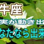 【牡牛座】9月中に伝えたい最も重要なこと　言霊メッセージを添えてお届けしております