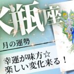 水瓶座♒️2024年9月の運勢🌈パワフルに開運❗️✨実力を100％発揮できるとき💖癒しと気付きのタロット占い