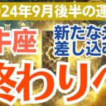 【牡牛座】2024年9月後半の総合運🌸 大きな喜びがあなたを待っている！🎁