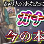 《少し辛口アリかもです🥲⚠️》❤️あの人のあなたに対する、ガチな今の本音❤️★ 恋愛 人間関係 人生 運命★タロット占い＆オラクルカードリーディング