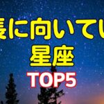 社長に向いている星座TOP5#占い#星座占い  #ランキング