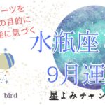 水瓶座♒︎さん9月運勢🌏🫧✨自分のルーツを探り魂の目的に向かうための才能に氣づく💛💚