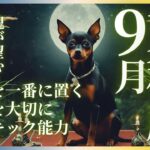 天秤座 てんびん座 2024年 9月 魂が望むあなたの花の咲かせ方 無条件に叶う ありのままで輝く タロットカード オラクルカード 易 占い