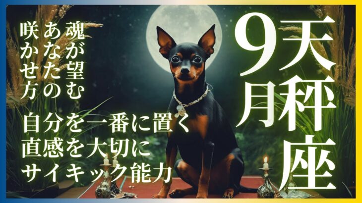 天秤座 てんびん座 2024年 9月 魂が望むあなたの花の咲かせ方 無条件に叶う ありのままで輝く タロットカード オラクルカード 易 占い