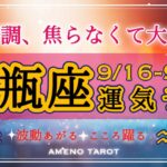 水瓶座🪽【９月後半運勢】好調期、展開が速いけど焦らなくて大丈夫❣️良い流れは高水準で安定するよ🥰