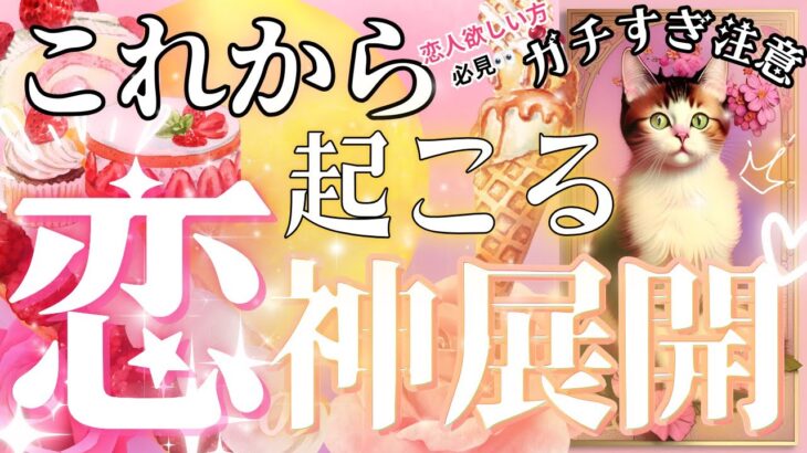 【💛ガチ忖度なし】めちゃ頑張るあなたへ🩷選択肢⚪︎を選んだ方❣️爆速で動きます❤️恋の神展開⚡️起こるタイミング【♦︎有料鑑定級♦︎】