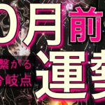 【重要な分岐点🩷】全選択肢で共通のある結果が🫢🌈生まれ変わるレベルで大変化が起こりそう✨起こりそうな事、気をつけること、恋愛仕事健康運、ラッキーアイテム、カラー🌹個人鑑定級